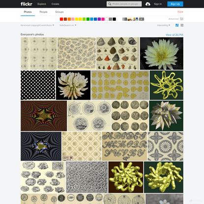 Search: | Flickr - Photo Sharing!