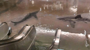 water tank fails, chinese mall