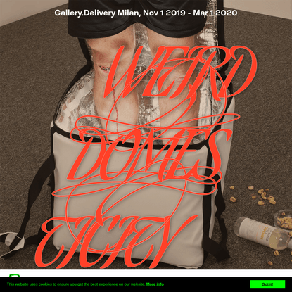 Gallery.Delivery Milan Weird Domesticity | An exhibition format by Sebastian Schmieg curated by Silvio Lorusso | Green Cube ...