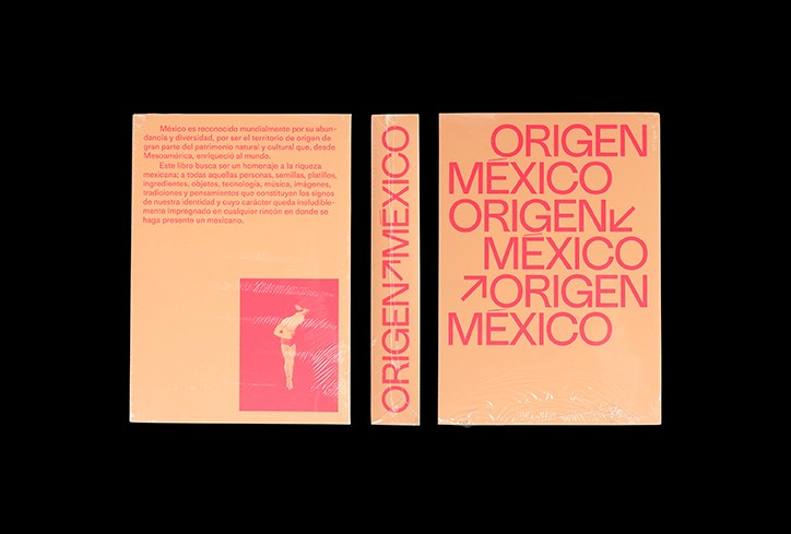 blok-design-origen-mexico-work-graphic-design-publication-itsnicethat-09.jpg?1574441661