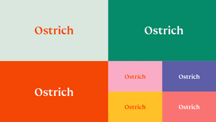 ostrich_9.jpg