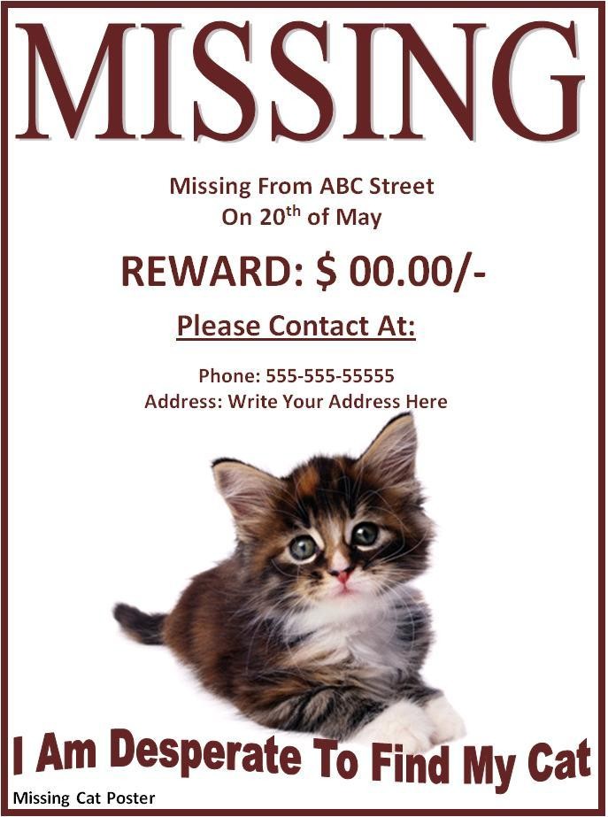 Missing cat poster jpg are na