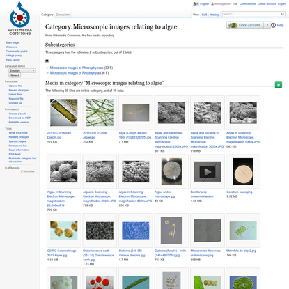 Category:Microscopic images relating to algae - Wikimedia Commons