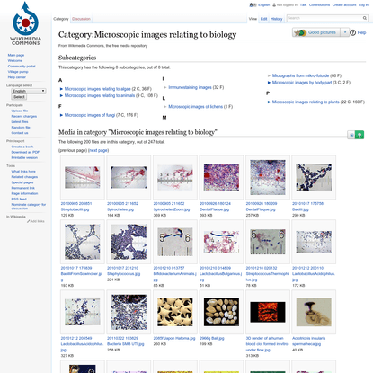 Category:Microscopic images relating to biology - Wikimedia Commons