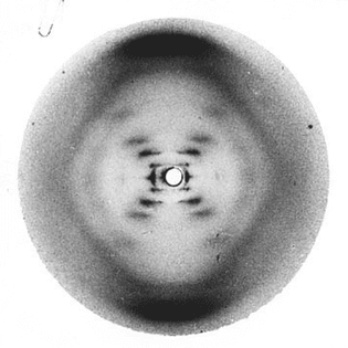 Rosalind Franklin, Photograph 51 (First X-Ray Crystallography Image of a DNA sequence) (1952)