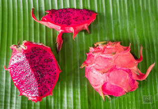 Pink Dragonfruit/Pitaya (SE Asia)