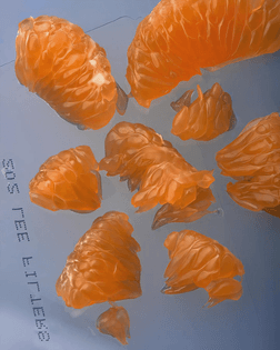 scontent-den4-1.cdninstagram.com-9836288215612988.jpg
