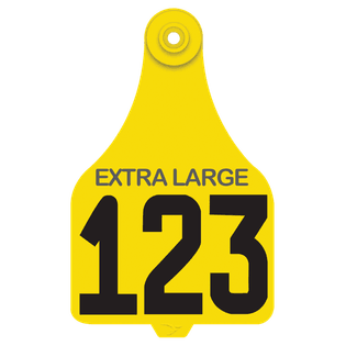 xl-yellow_numbered@2x.png