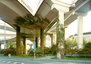 RDK-Untitled-FIR-SBK-FA-WEB-2-830x591.jpg