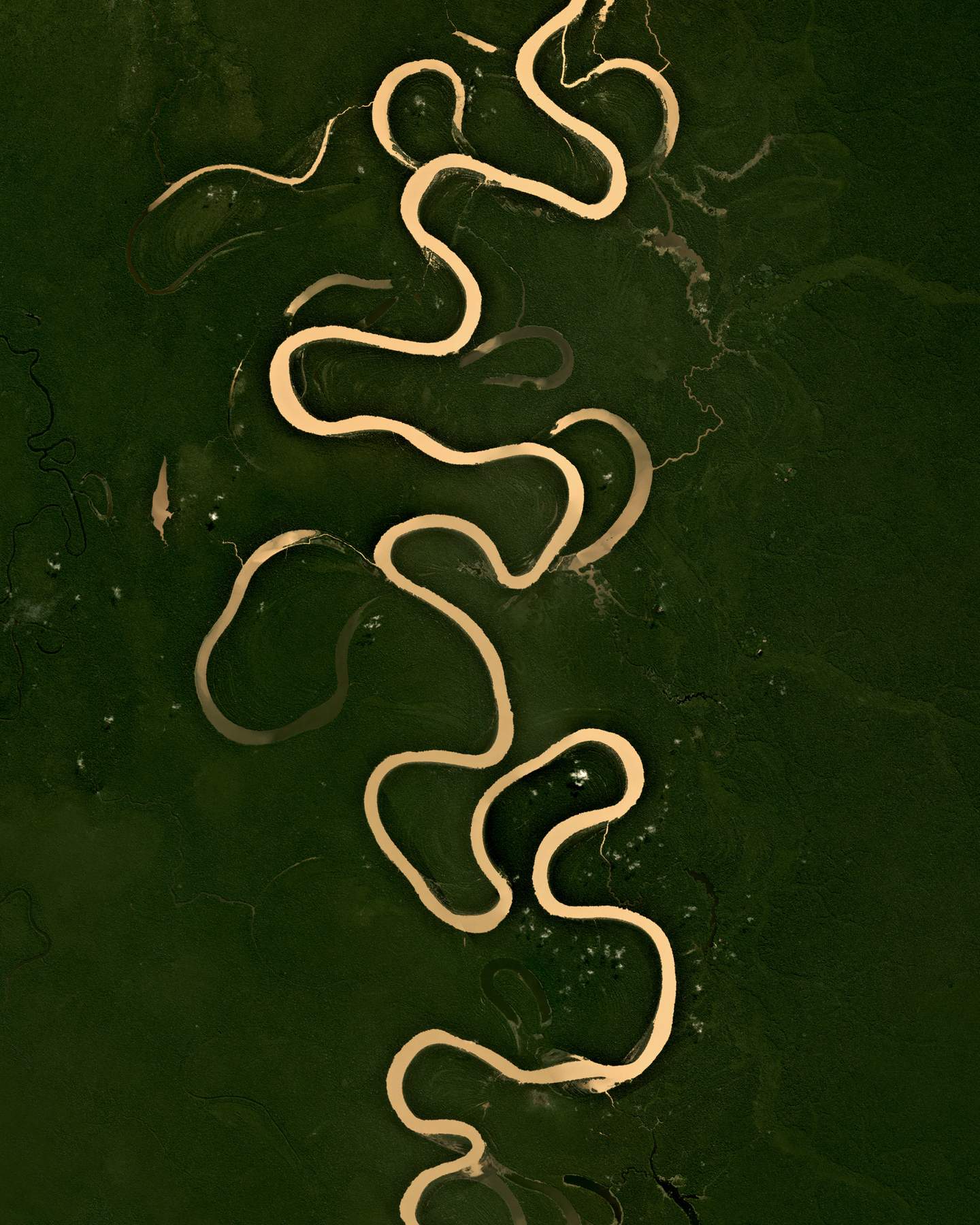 “The Juruá River is a southern tributary of the Amazon River, flowing approximately 1,500 miles (2,400 km) through Brazil and Perú. For most of its length, the river winds through the Amazon basin and is generally curvy and sluggish.”