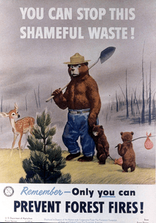 Smokey the Bear illustration
