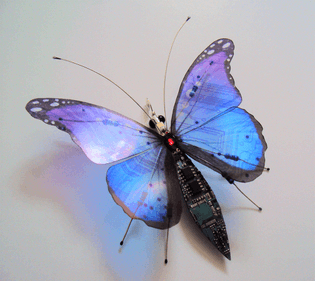 Electronic Butterfly