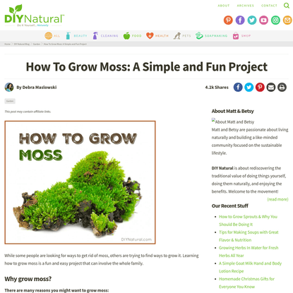 How To Grow Moss: A Simple and Fun Project