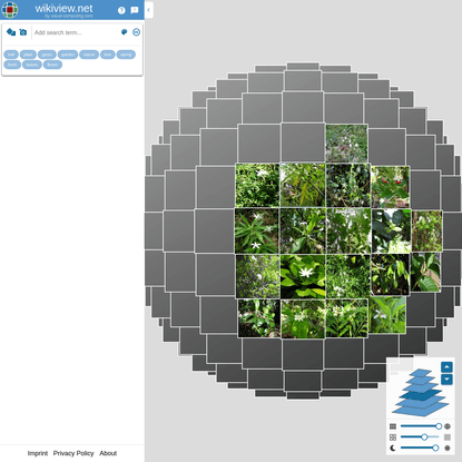 wikiview: a powerful visual explorer for Wikimedia Commons images