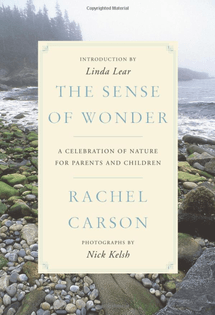 rachel-carson.png