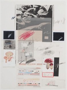 cy twombly mushrooms