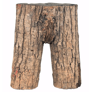 wood shorts haha