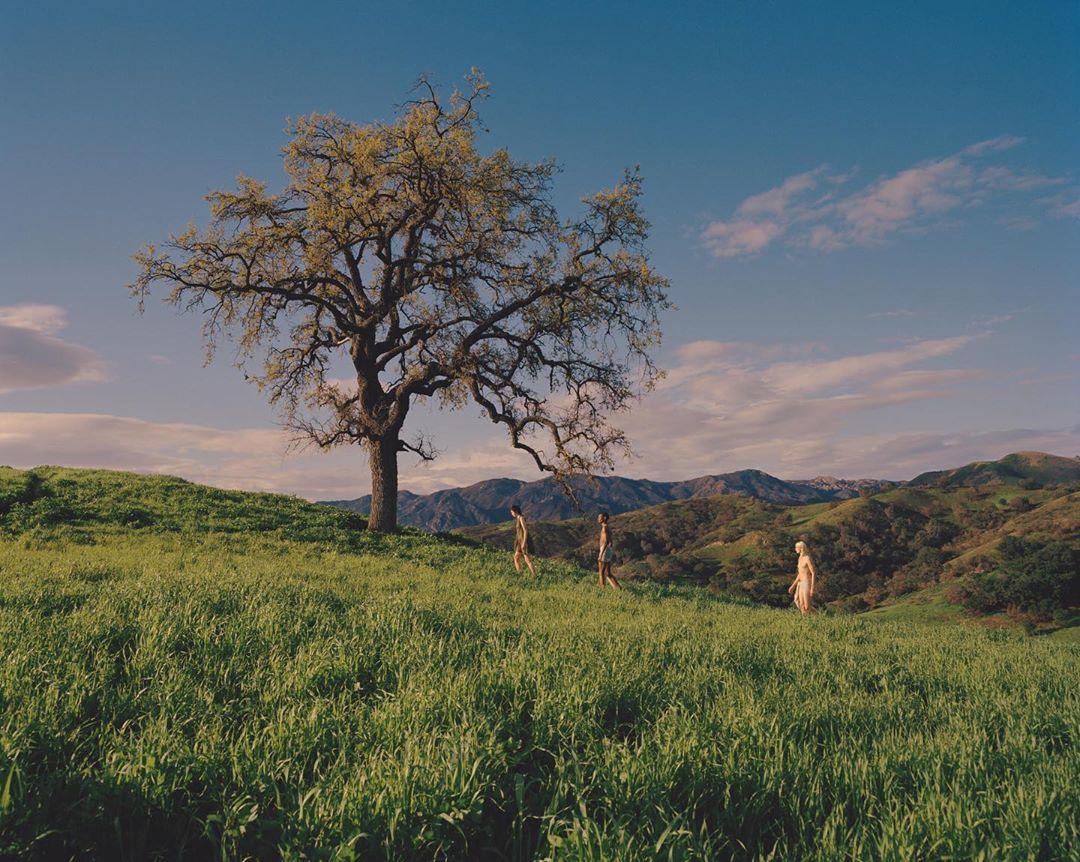 thisispaper_james_perolls_photography_15.jpg