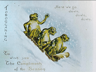 frog-tobogganing-christmas-card.png