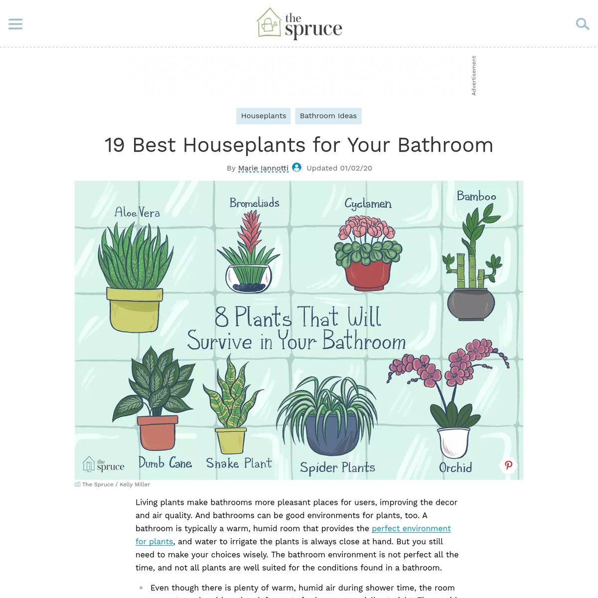 Dress Up Your Bathroom With These MoistureLoving Plants — Are.na