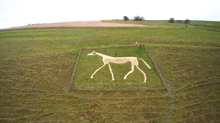 pewsey_white_horse.jpg