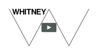 Whitney Graphic Identity by Experimental Jetset