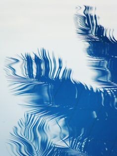 392260094a97a1cc818665a2461d4a2a.jpg