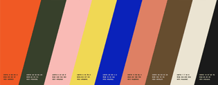 onward_color_palette.jpg