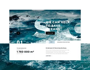 Web Design and Animation: Save the Oceans Charity