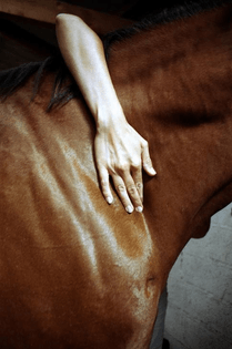 tumblr_lzk0rfTeOa1qh7l4ho1_500.jpg