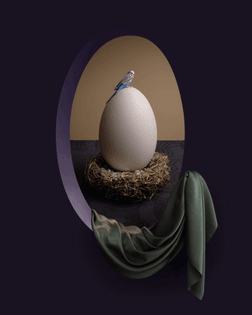 carl-kleiner-bolon-bird-on-egg-02-website-background-1537x1920.jpg