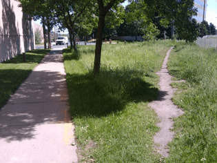 Desire Path
