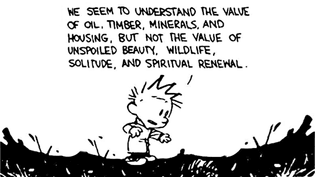 Calvin and Hobbes: “We seem to understand the value of oil, timber, minerals, and housing, but not the value of unspoiled beauty, wildlife, solitude, and spiritual renewal.”