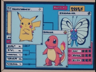 pokemon interface