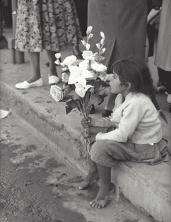 Kees Scherer- Italy, 1958-1963