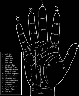 Top 10 Lines in Palmistry