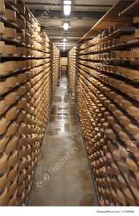 cheese-storage-stock-picture-799098.jpg