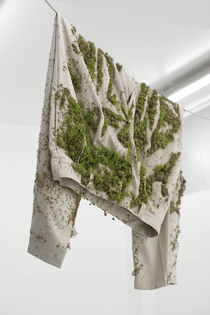 machine_in_the_garden_springsteen_bea_fremderman_andrew_laumann_2.jpg
