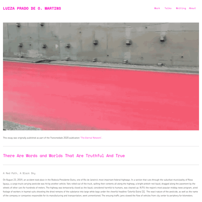 There Are Words and Worlds That Are Truthful and True - LUIZA PRADO DE O. MARTINS