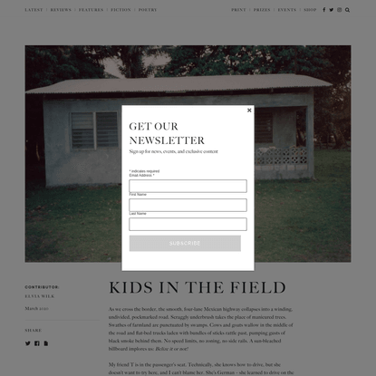 Kids in the Field - The White Review