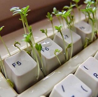 🌑 Crap... Need A New Keyboard... 🌑 ▪️
.
. . .
.
.
.
.
.
. . . . #artlondon #franceart #experimentalart #cyberpunk #keyboard ...