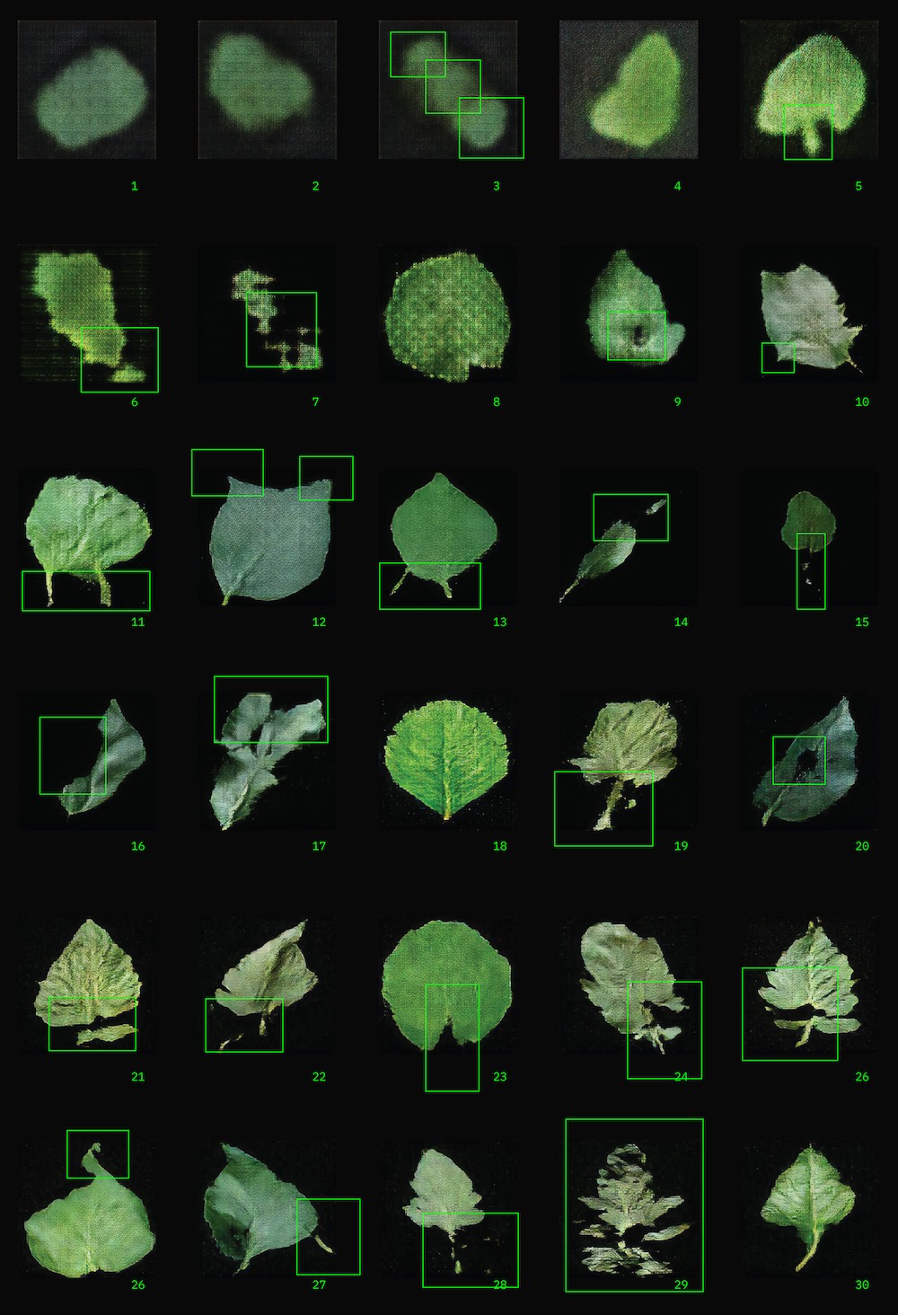 A grid of machine generated leaves. The leaves are dark green against a black background. On top of the leaves are bright neon green markings pointing out the "glitches" or flaws of each leaf.