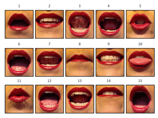 mouths