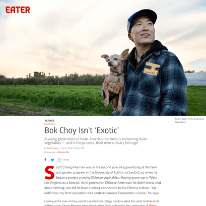 How Asian-American Farmers Shape What America Eats - Eater