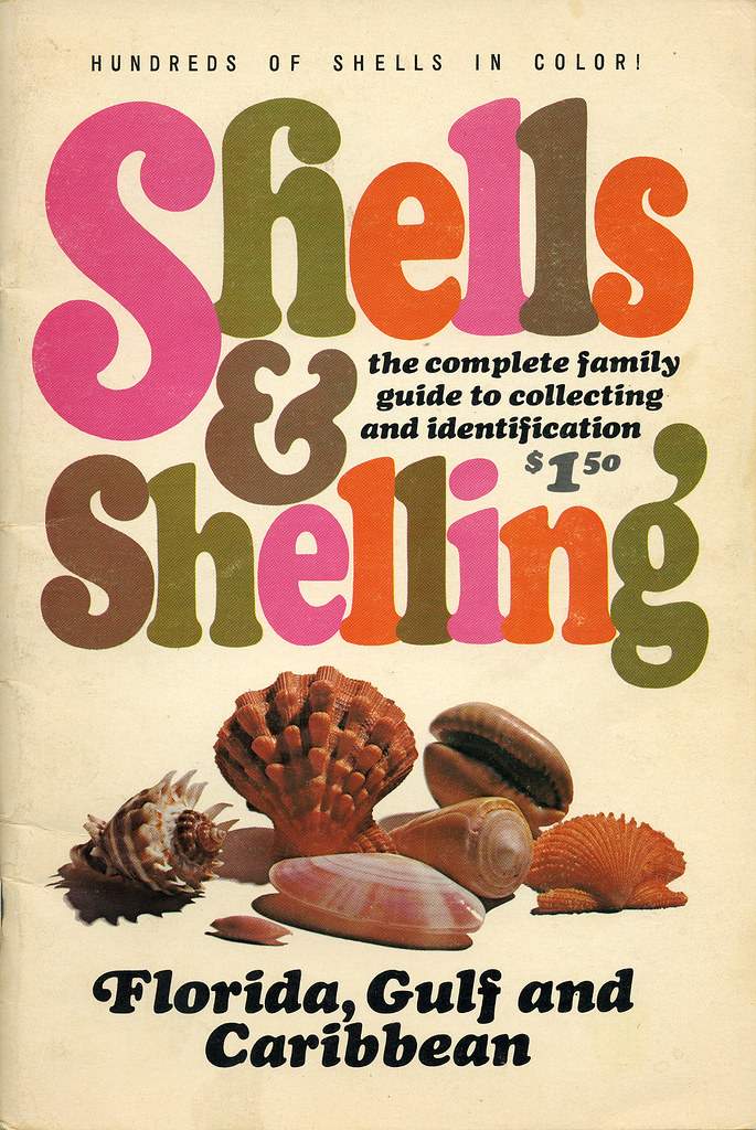 Shells & Shelling