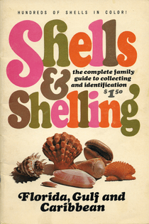 Shells &amp; Shelling