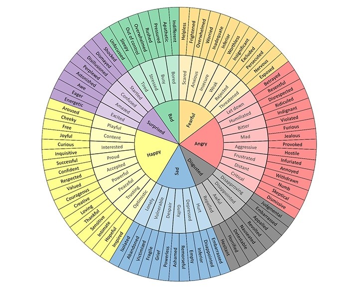 feelings-wheel-explained-jpg-are-na