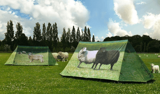 the-sheep-tent.jpg