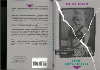 kathy acker great expectations