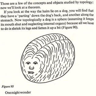 26863787_572300163117443_7634696795506868224_n.jpg